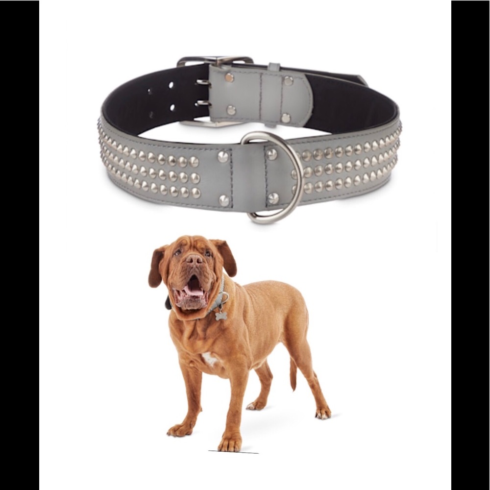 Bond & Co Genuine Leather Dog Collar XXL-3X